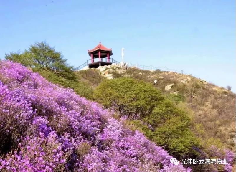 金狮贵宾会-宾至如归-尊贵显赫